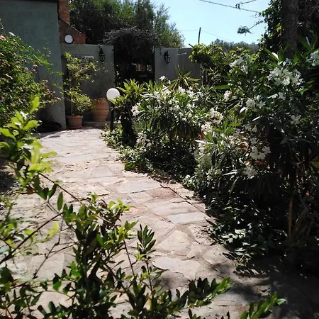 Galini Apartment Katsikia